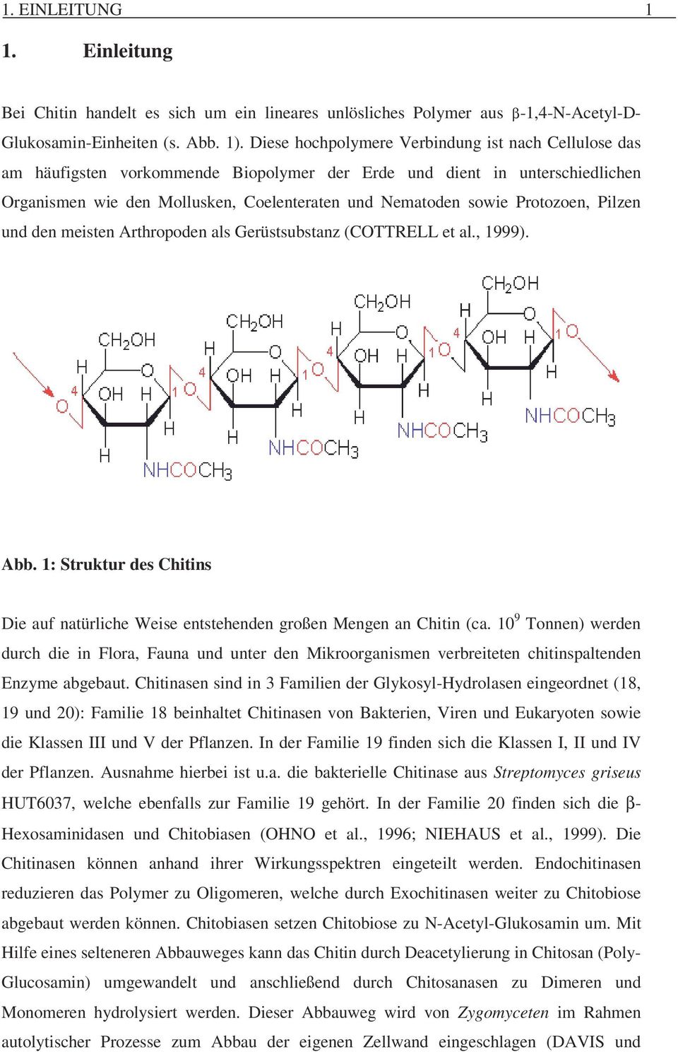 Protozoen, Pilzen und den meisten Arthropoden als Gerüstsubstanz (COTTRELL et al., 1999).! Abb. 1: Struktur des Chitins Die auf natürliche Weise entstehenden großen Mengen an Chitin (ca.