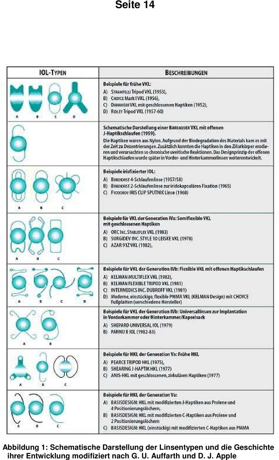 Geschichte ihrer Entwicklung