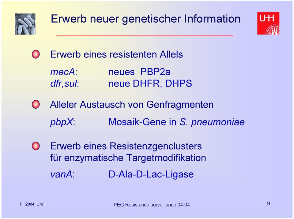 Genfragmenten pbpx: Mosaik-Gene in S.
