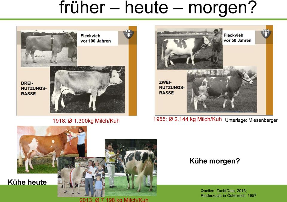 144 kg Milch/Kuh Unterlage: Miesenberger Kühe