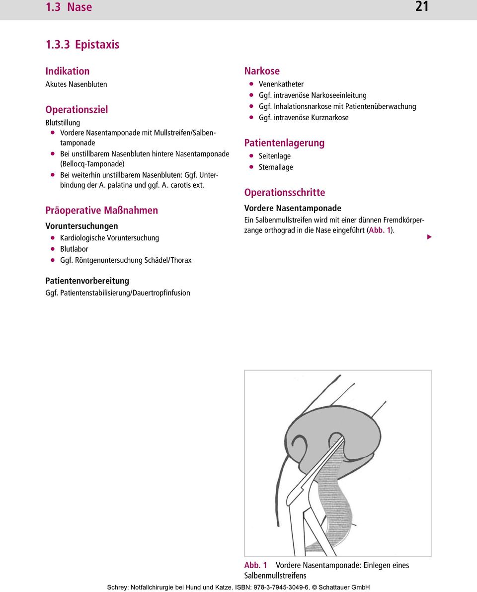 Präoperative Maßnahmen Voruntersuchungen Kardiologische Voruntersuchung Blutlabor Ggf. Röntgenuntersuchung Schädel/Thorax Narkose Venenkatheter Ggf. intravenöse Narkoseeinleitung Ggf.