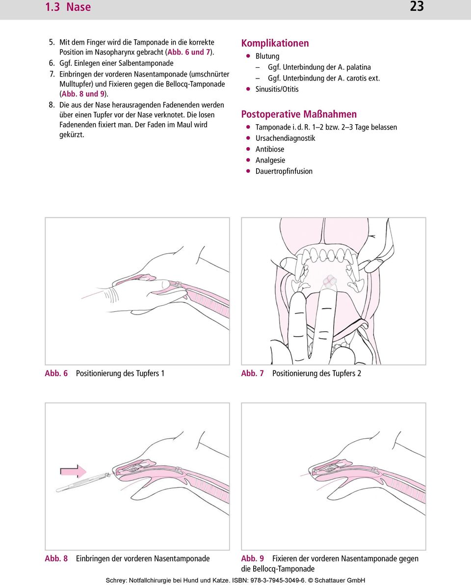 und 9). 8. Die aus der Nase herausragenden Fadenenden werden über einen Tupfer vor der Nase verknotet. Die losen Faden enden fixiert man. Der Faden im Maul wird gekürzt. Komplikationen Blutung Ggf.