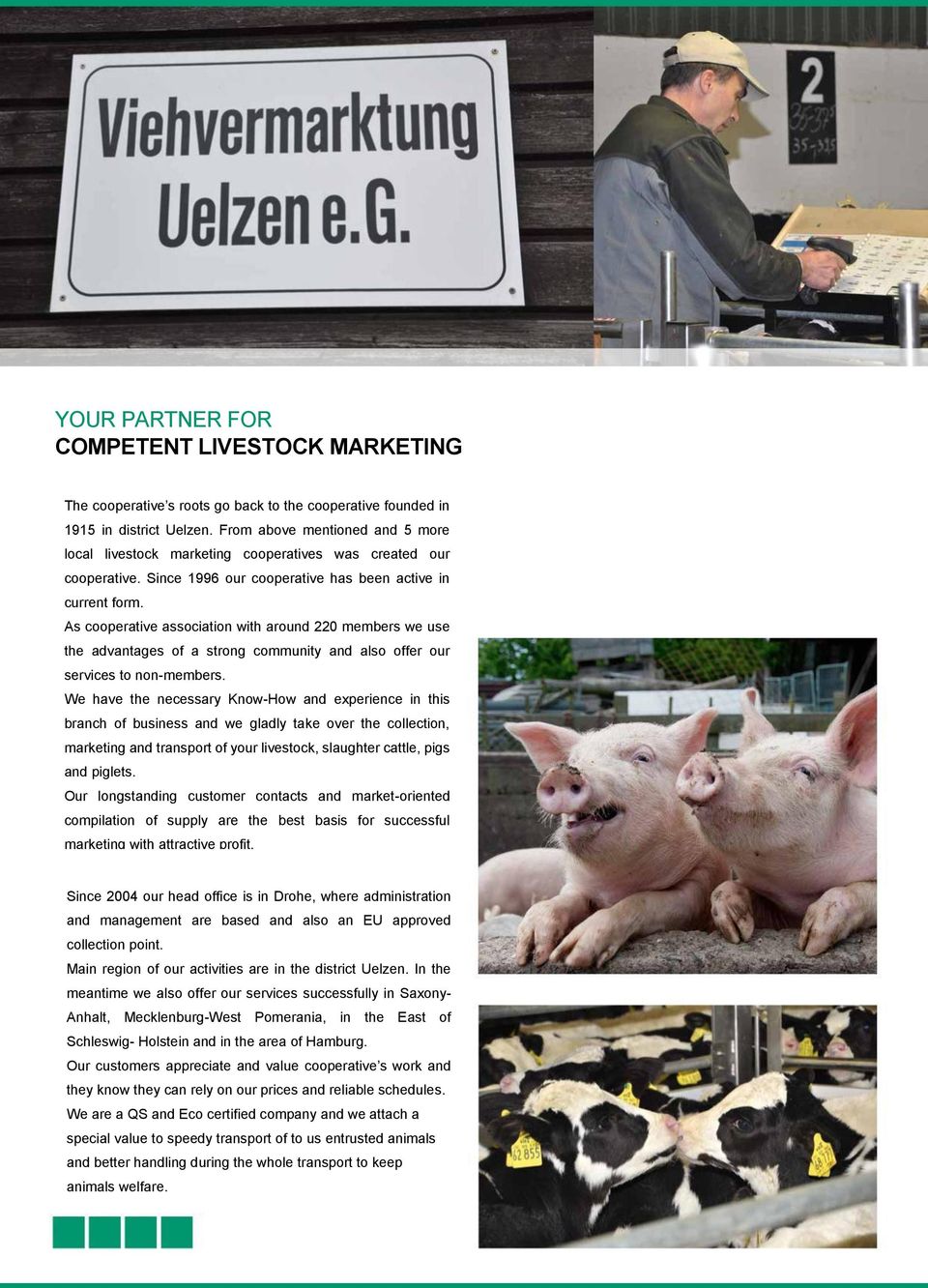 lokalen From Viehvermarktungen above mentioned entstand 5 more die Viehvermarktung local livestock Uelzen, marketing die seit cooperatives 1996 in der jetzigen was Form created aktiv our ist.