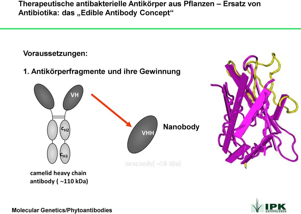 Edible Antibody Concept Voraussetzungen: 1.