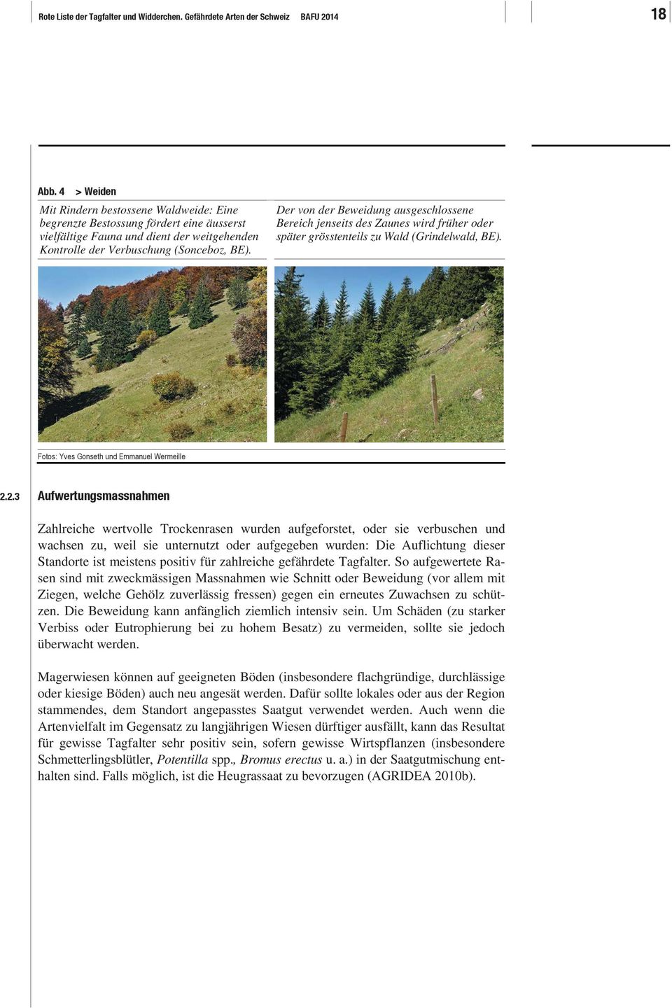 Der von der Beweidung ausgeschlossene Bereich jenseits des Zaunes wird früher oder später grösstenteils zu Wald (Grindelwald, BE). Fotos: Yves Gonseth und Emmanuel Wermeille 2.