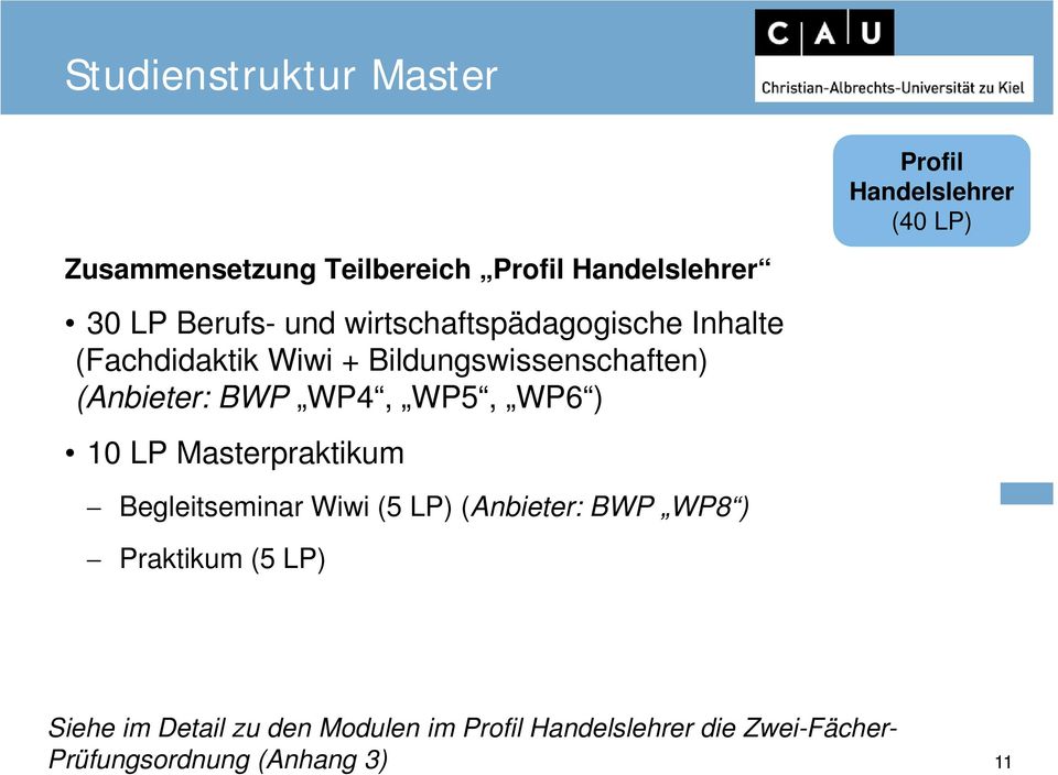 BWP WP4, WP5, WP6 ) 10 LP Masterpraktikum Begleitseminar Wiwi (5 LP) (Anbieter: BWP WP8 ) Praktikum (5