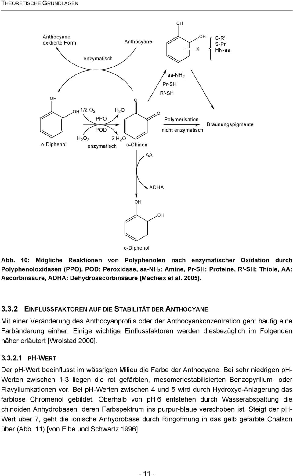 PD: Peroxidase, aa-nh 2 : Amine, Pr-SH: Proteine, R -SH: Thiole, AA: Ascorbinsäure, ADHA: Dehydroascorbinsäure [Macheix et al. 25]. 3.