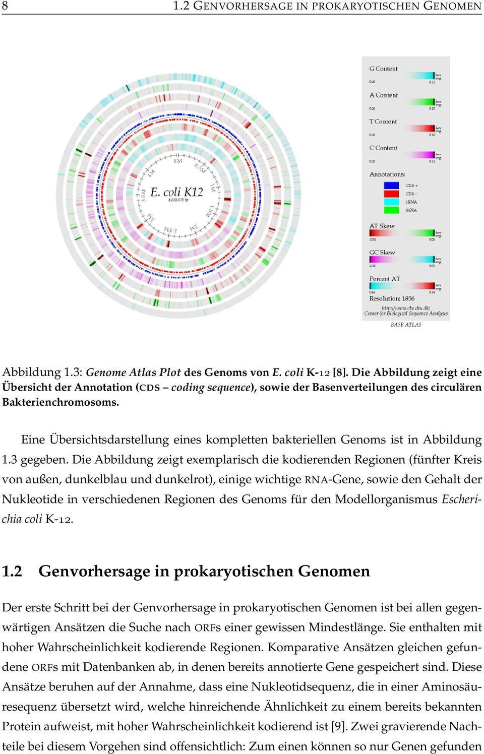 Eine Übersichtsdarstellung eines kompletten bakteriellen Genoms ist in Abbildung 1.3 gegeben.