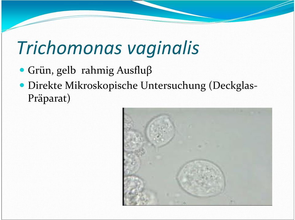 Direkte Mikroskopische