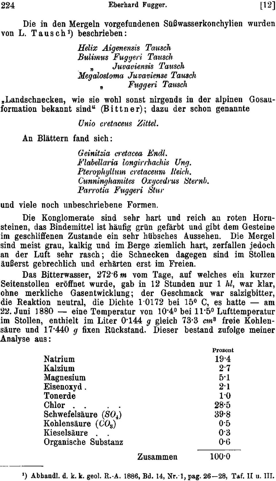 Gosauformation bekannt sind" (Bittner); dazu der schon genannte An Blättern fand sich: Unio cretaceus Zittel. Geinitzia cretctcea Endl. Flabellaria longirrhachis Ung. Pterophyllum cretaceum Iteich.