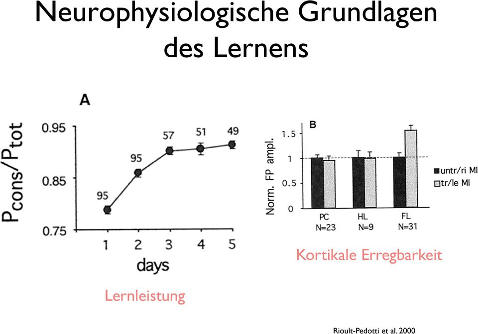 Lernleistung Kortikale