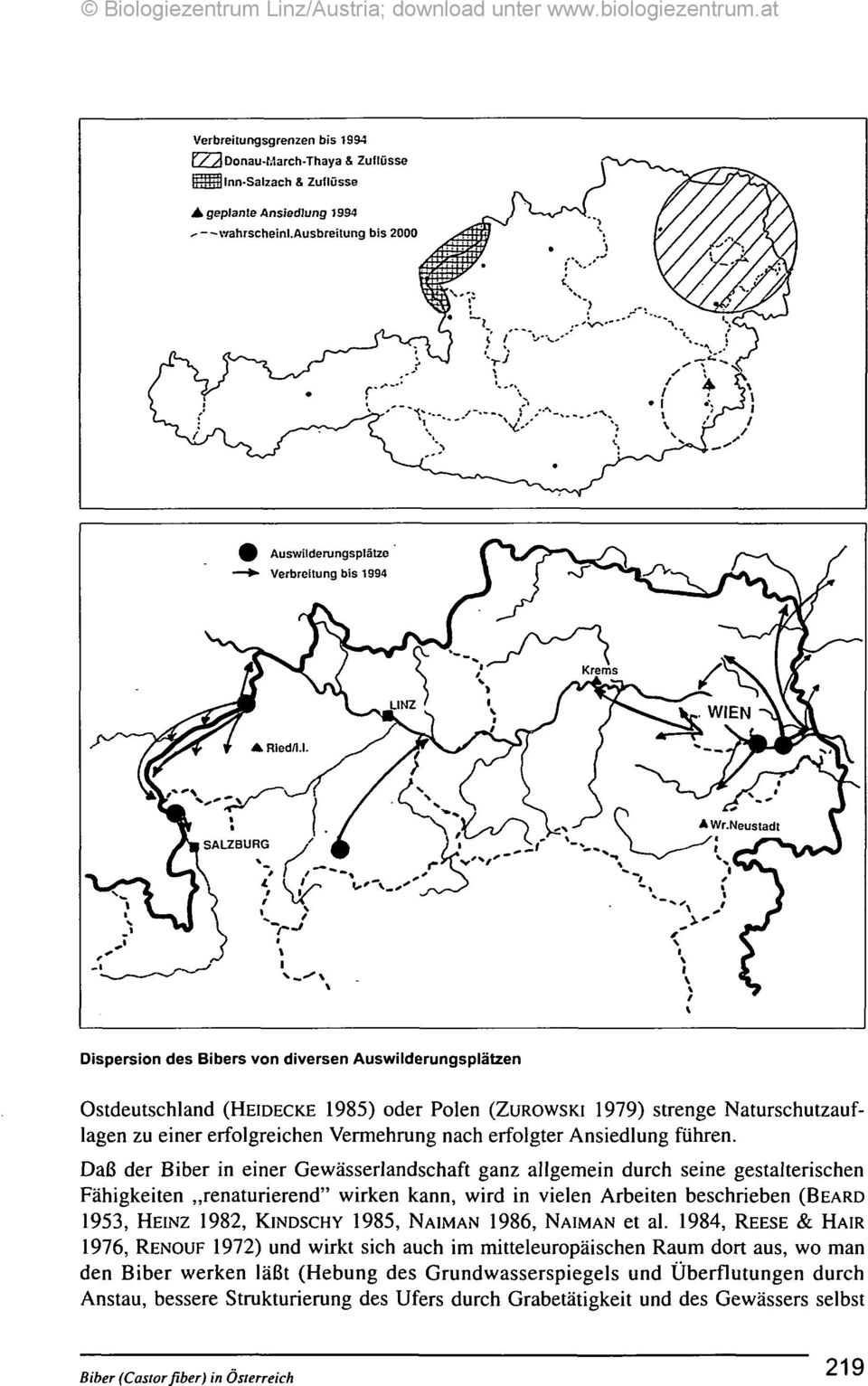 Dispersion des Bibers von diversen Auswilderungsplätzen Ostdeutschland (HEIDECKE 1985) oder Polen (ZUROWSKI 1979) strenge Naturschutzauflagen zu einer erfolgreichen Vermehrung nach erfolgter