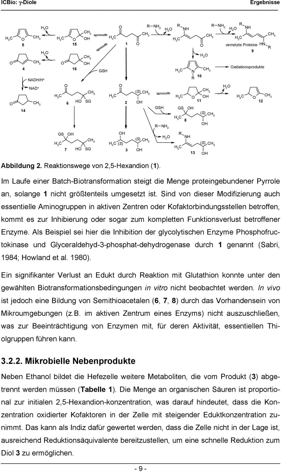 xidationsprodukte Abbildung 2. Reaktionswege von 2,5-Hexandion (1). Im Laufe einer Batch-Biotransformation steigt die Menge proteingebundener Pyrrole an, solange 1 nicht größtenteils umgesetzt ist.