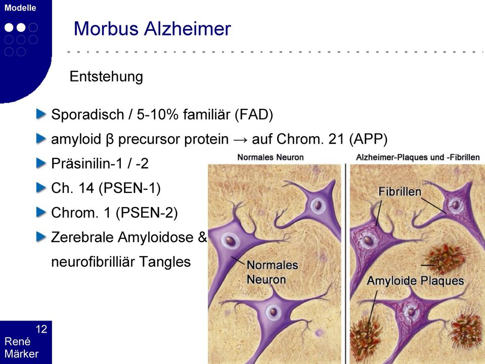 21 (APP) Präsinilin-1 / -2 Ch. 14 (PSEN-1) Chrom.