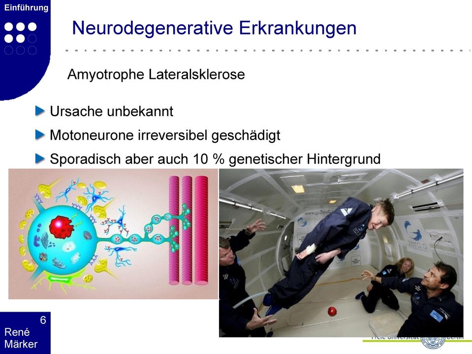 unbekannt Motoneurone irreversibel