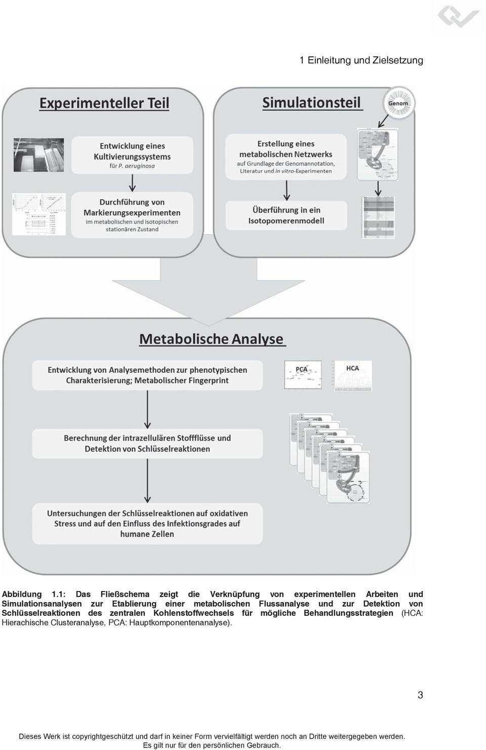 Simulationsanalysen zur Etablierung einer metabolischen Flussanalyse und zur Detektion von