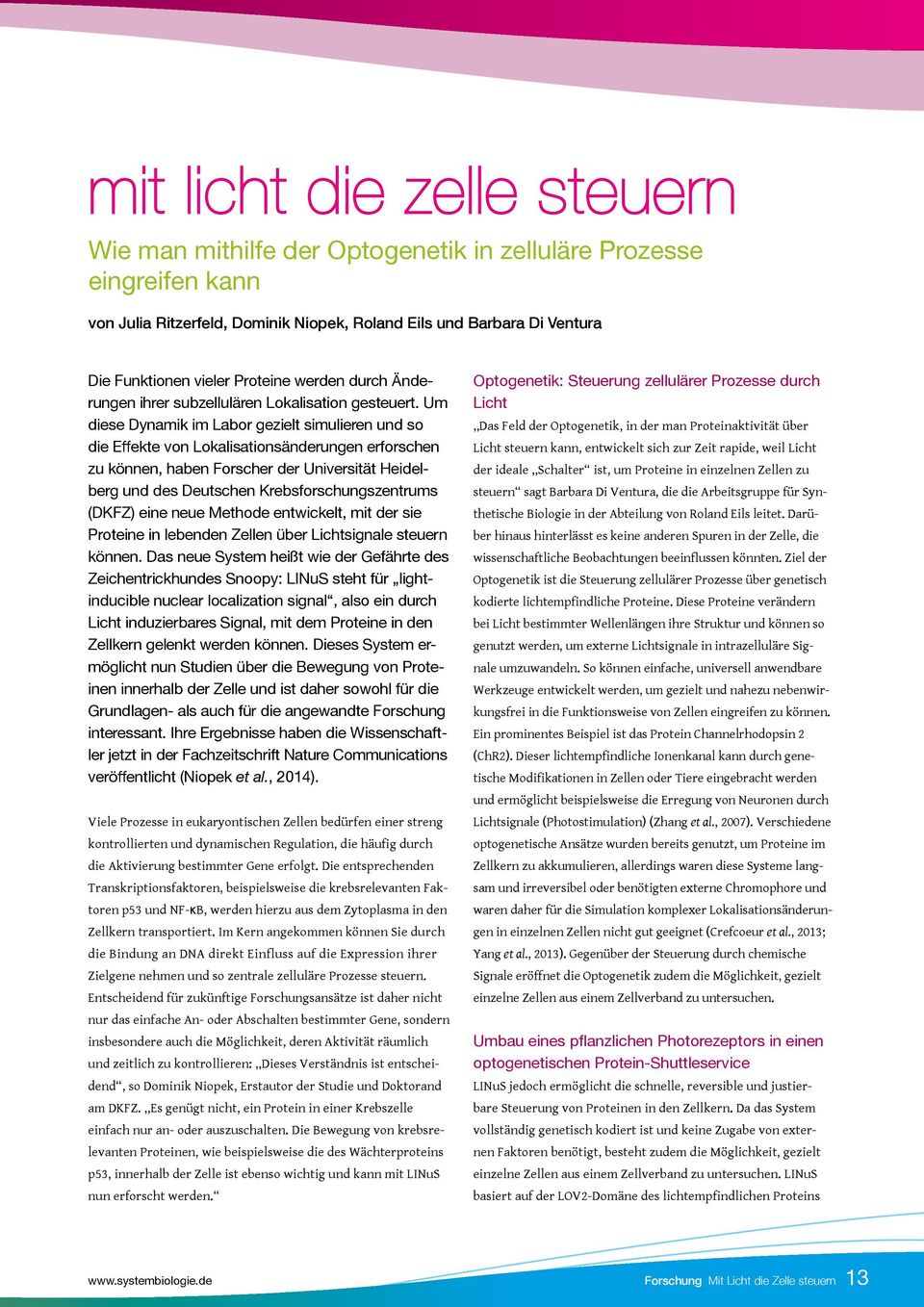 Um diese Dynamik im Labor gezielt simulieren und so die Effekte von Lokalisationsänderungen erforschen zu können, haben Forscher der Universität Heidelberg und des Deutschen Krebsforschungszentrums