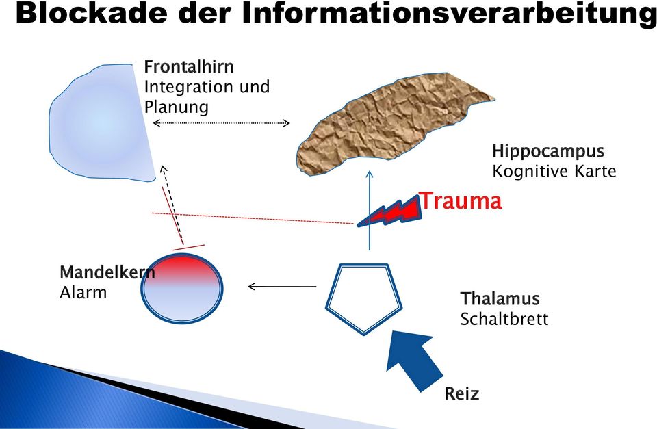 Trauma Hippocampus Kognitive Karte