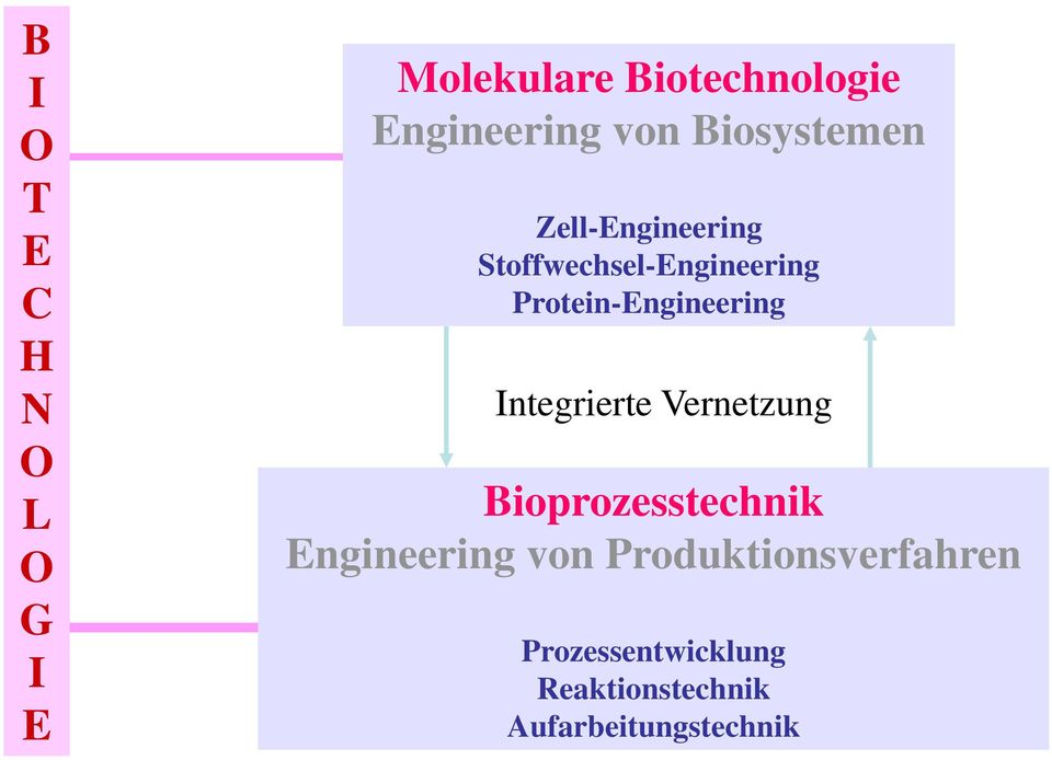 Protein-Engineering Integrierte Vernetzung Bioprozesstechnik