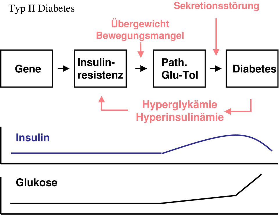 Insulinresistenz Path.