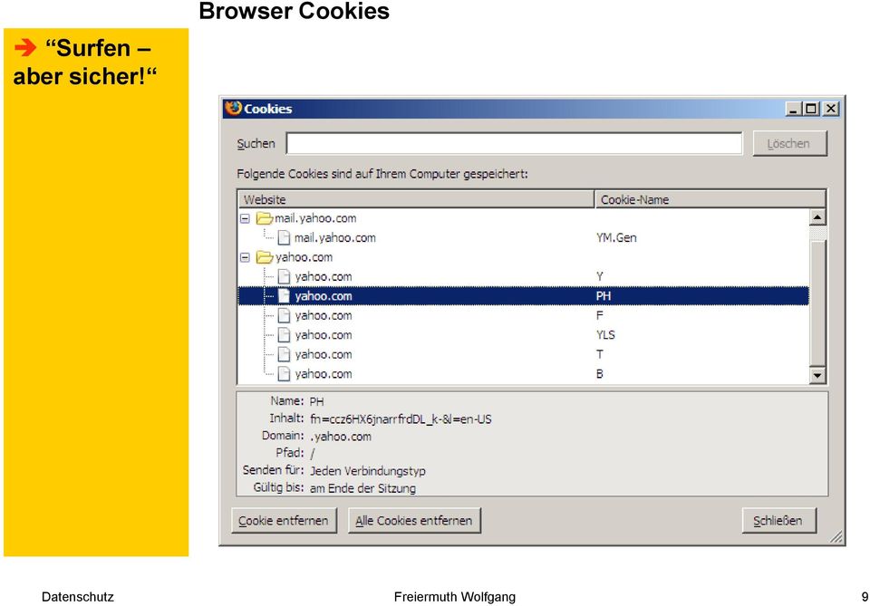 Browser Cookies