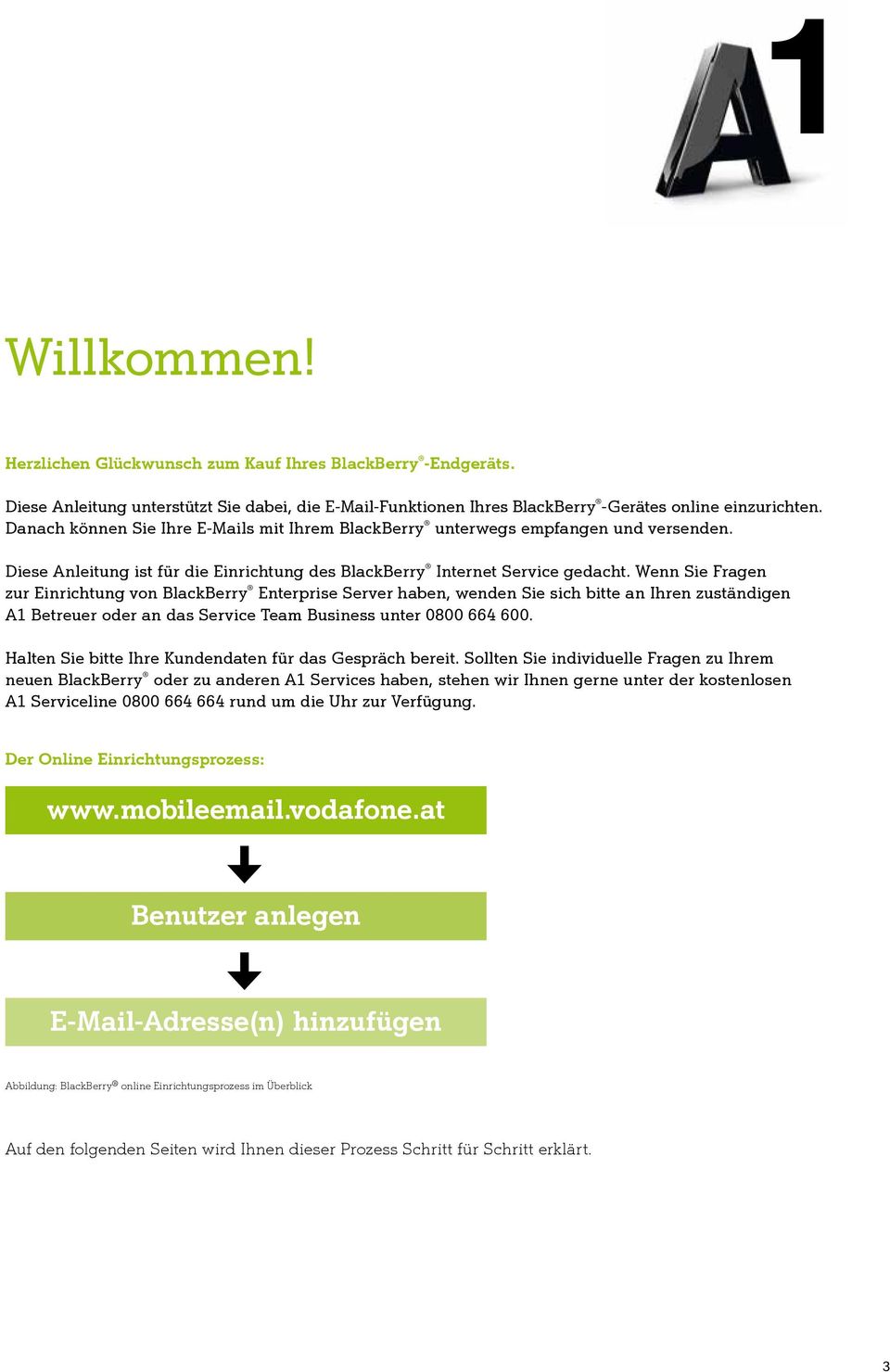 Wenn Sie Fragen zur Einrichtung von BlackBerry Enterprise Server haben, wenden Sie sich bitte an Ihren zuständigen A1 Betreuer oder an das Service Team Business unter 0800 664 600.