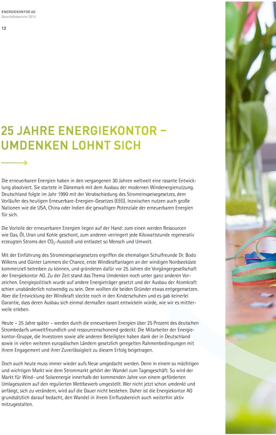 Deutschland folgte im Jahr 1990 mit der Verabschiedung des Stromeinspeisegesetzes, dem Vorläufer des heutigen Erneuerbare-Energien-Gesetzes (EEG).