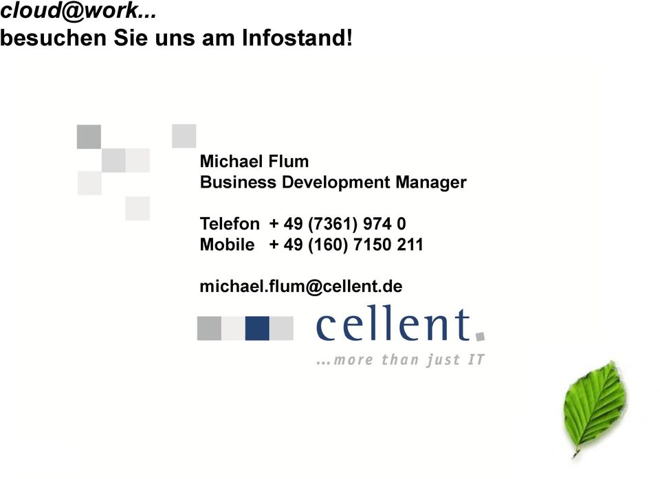 Michael Flum Business Development