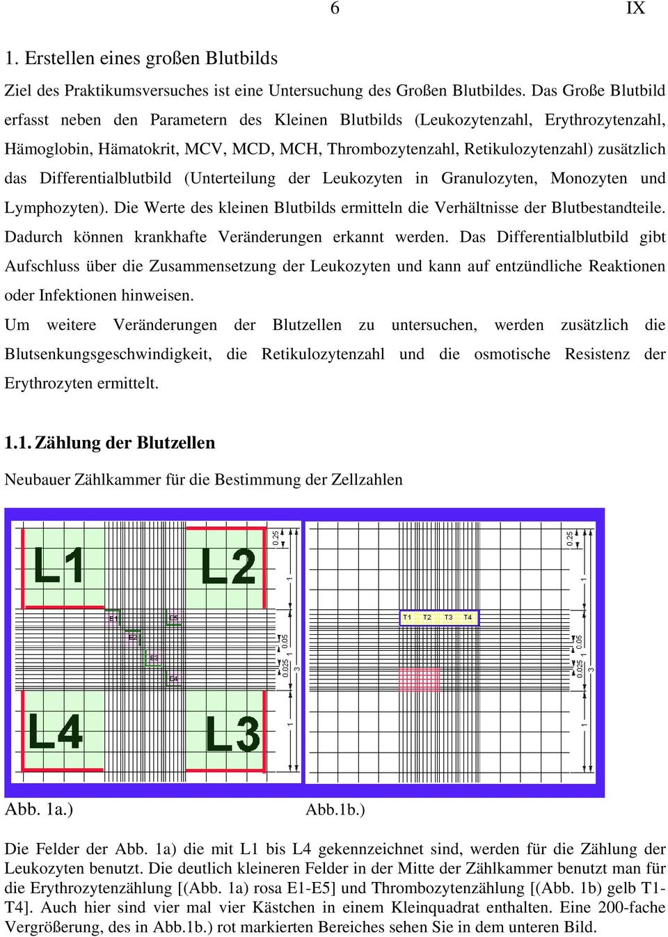 Differentialblutbild (Unterteilung der Leukozyten in Granulozyten, Monozyten und Lymphozyten). Die Werte des kleinen Blutbilds ermitteln die Verhältnisse der Blutbestandteile.