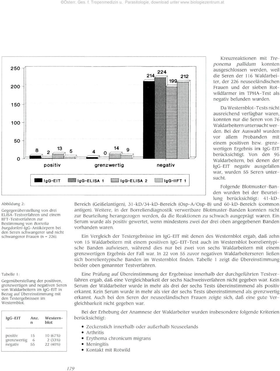 Tabelle l: Gegenüberstellung der positiven, grenzwertigen und negativen Seren von Waldarbeitern im IgG-ElT in Bezug auf Übereinstimmung mit den Testergebnissen im Westernblot. IgG-EIT Anz.