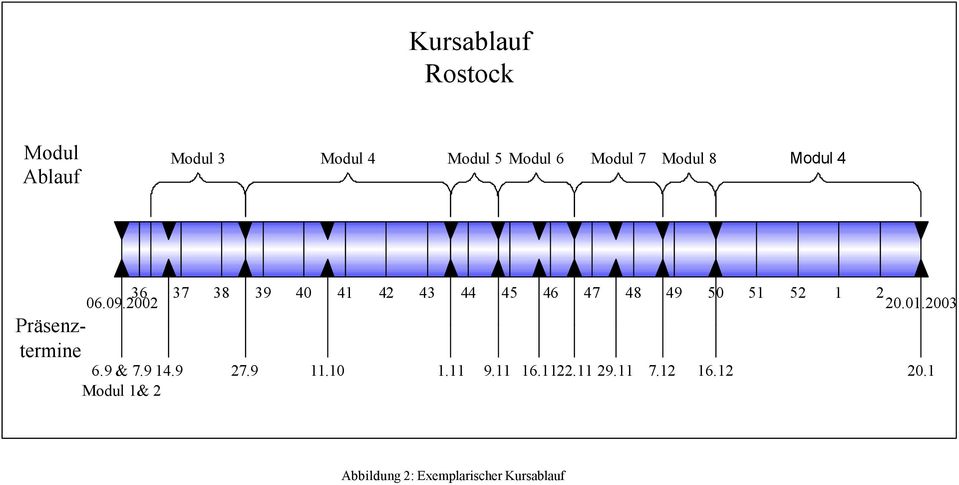 50 51 52 1 2 06.09.2002 20.01.2003 6.9 & 7.9 Modul 1& 2 14.9 27.9 11.10 1.