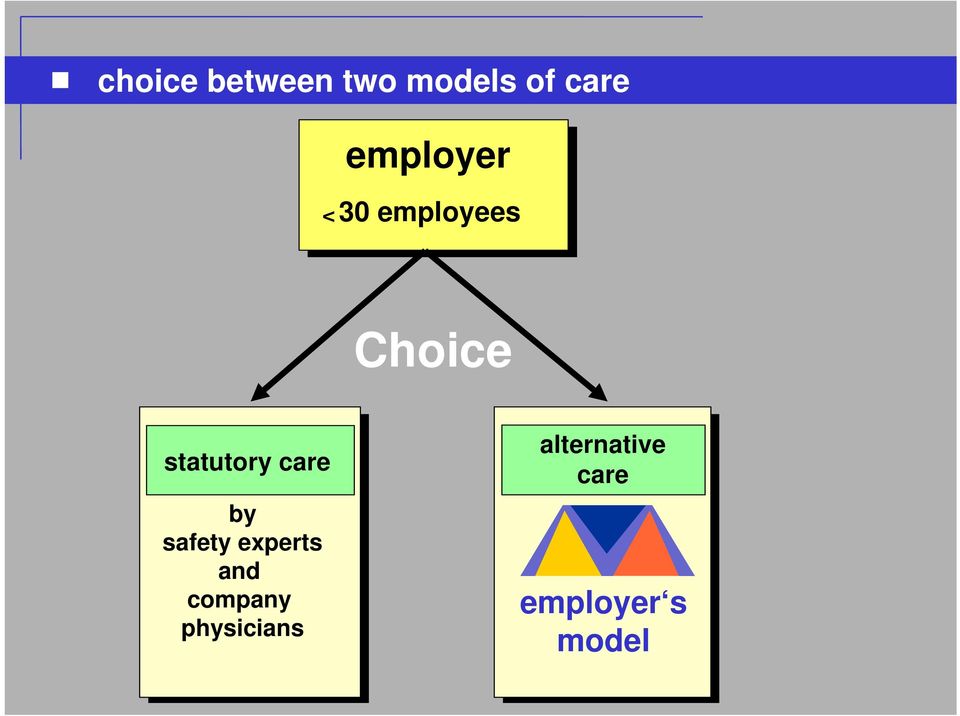 statutory care by safety experts and