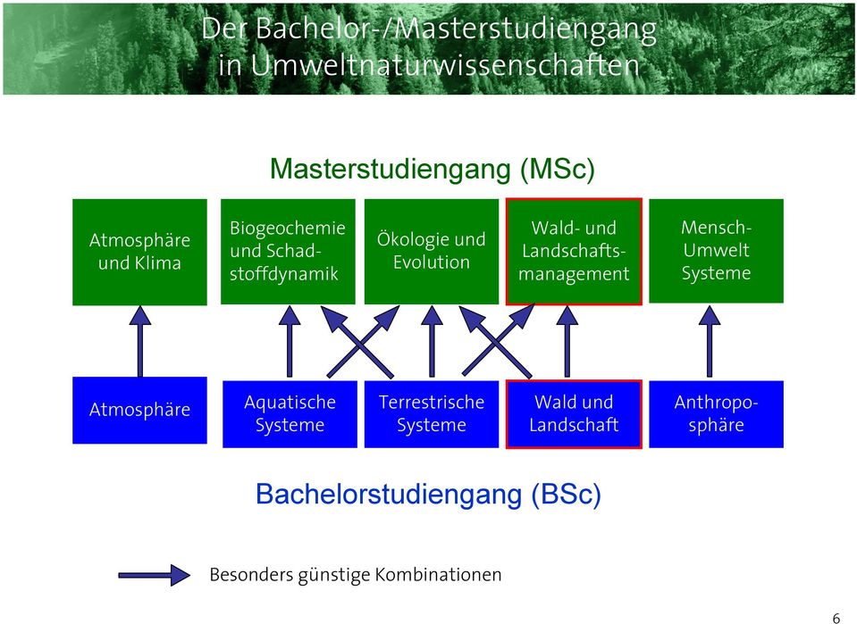 und Schadstoffdynamik Mensch- Umwelt Systeme Atmosphäre Aquatische Systeme Terrestrische