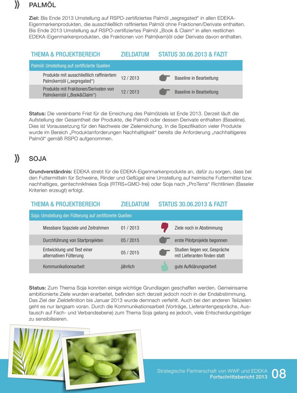 Palmöl: Umstellung auf zertifizierte Quellen Produkte mit ausschließlich raffiniertem Palm(kern)öl ( segregated ) Produkte mit Fraktionen/Derivaten von Palm(kern)öl ( Book&Claim ) 12 / 2013 Baseline