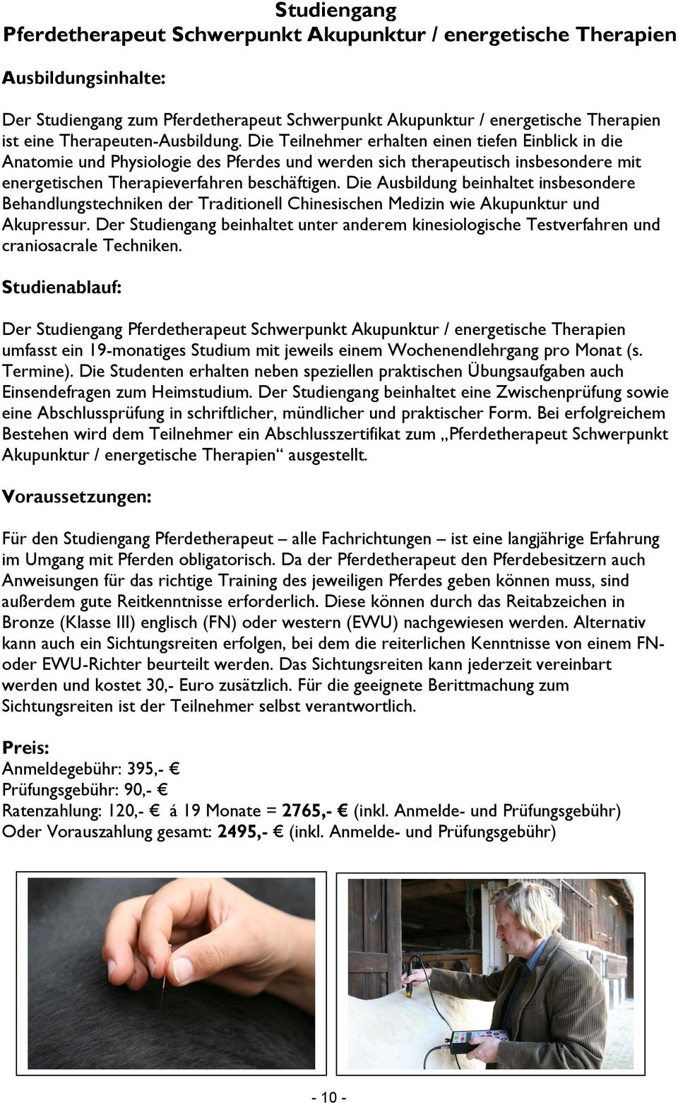 Die Teilnehmer erhalten einen tiefen Einblick in die Anatomie und Physiologie des Pferdes und werden sich therapeutisch insbesondere mit energetischen Therapieverfahren beschäftigen.