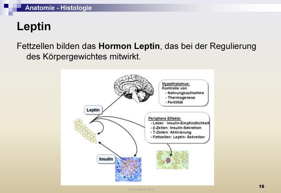 bei der Regulierung des