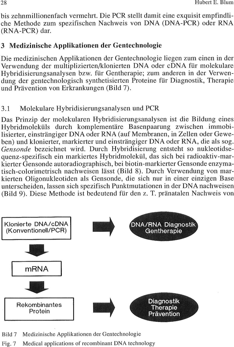 Hybridisierungsanalysen bzw. für Gentherapie; zum anderen in der Verwendung der gentechnologisch synthetisierten Proteine für Diagnostik, Therapie und Prävention von Erkrankungen (Bild 7). 3.