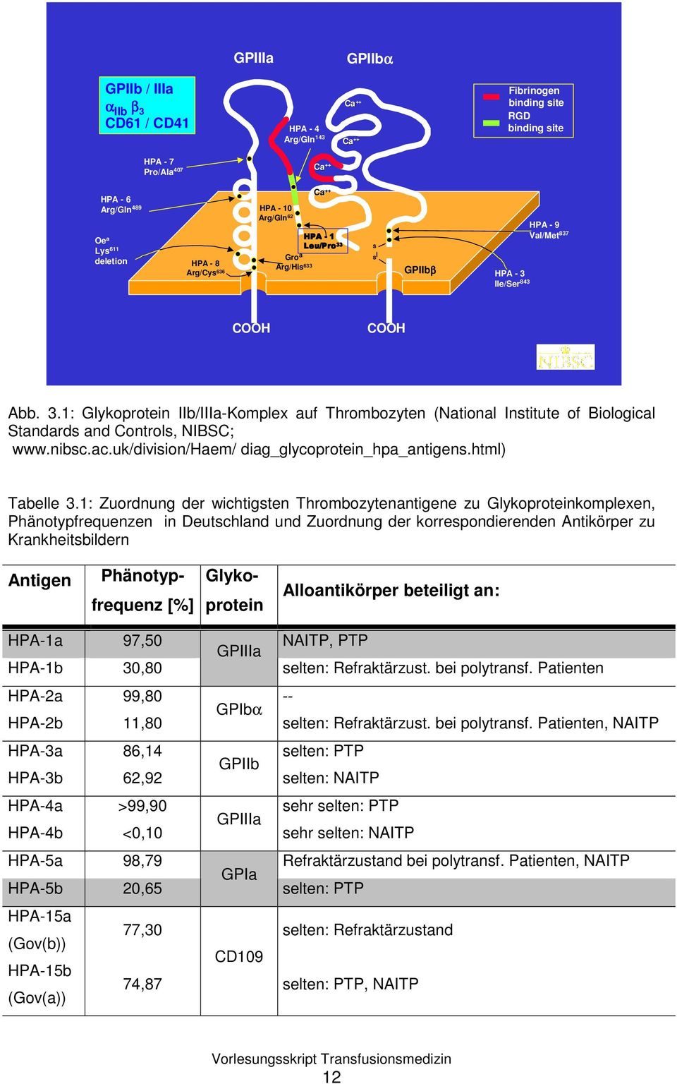 nibsc.ac.uk/division/haem/ diag_glycoprotein_hpa_antigens.html) Tabelle 3.