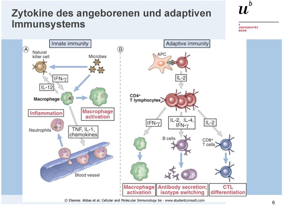 und adaptiven