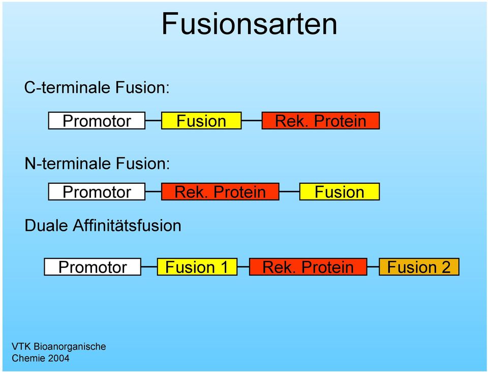 Protein N-terminale Fusion: Promotor Rek.