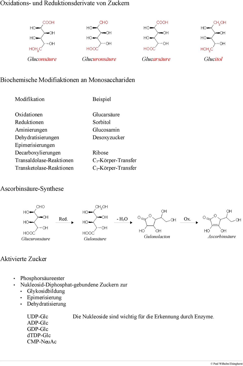 C 3 -Körper-Transfer C 2 -Körper-Transfer Ascorbinsäure-Synthese Red. - H 2O Ox.