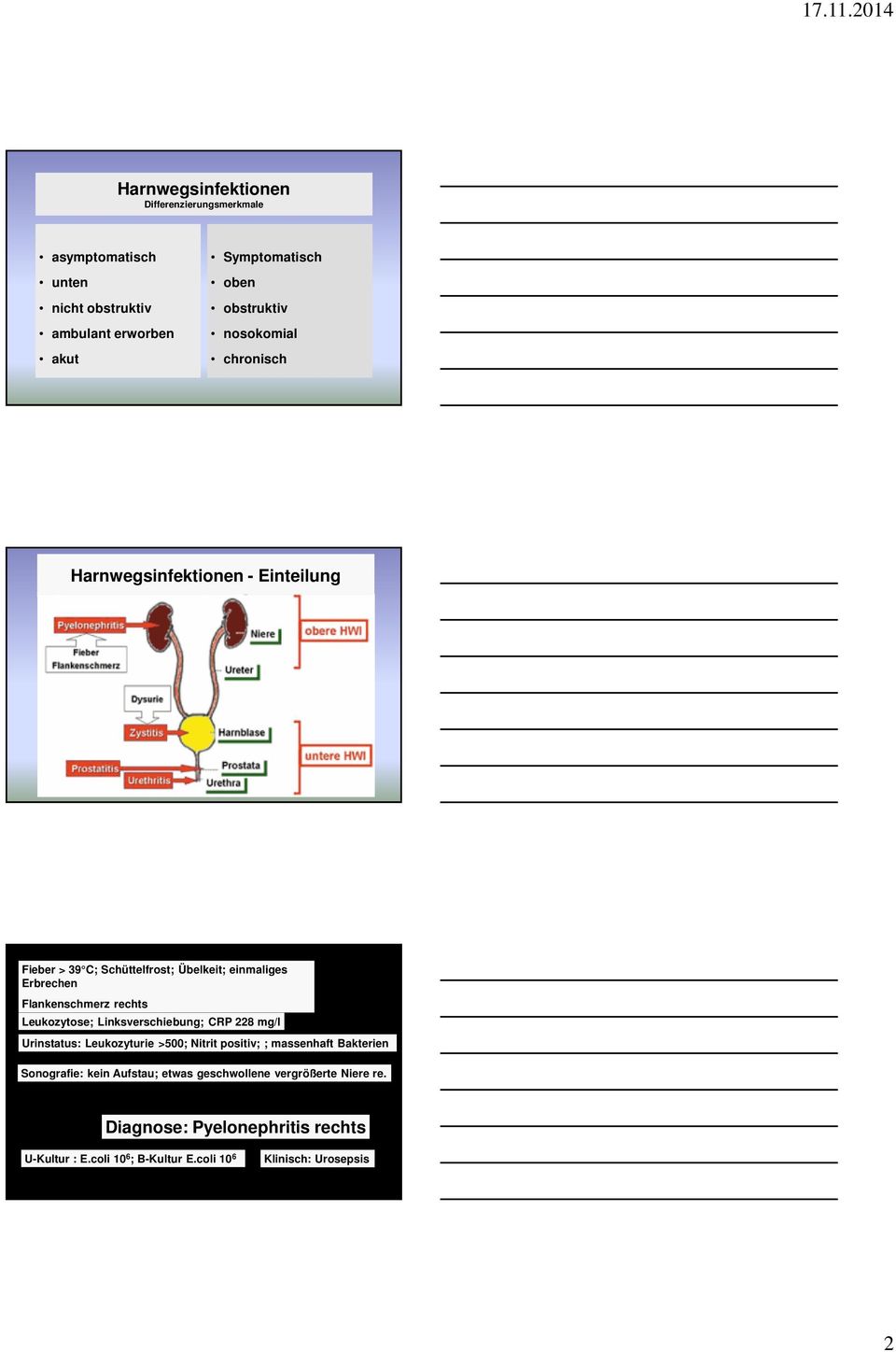 Linksverschiebung; CRP 228 mg/l Urinstatus: Leukozyturie >500; Nitrit positiv; ; massenhaft Bakterien Sonografie: kein Aufstau;