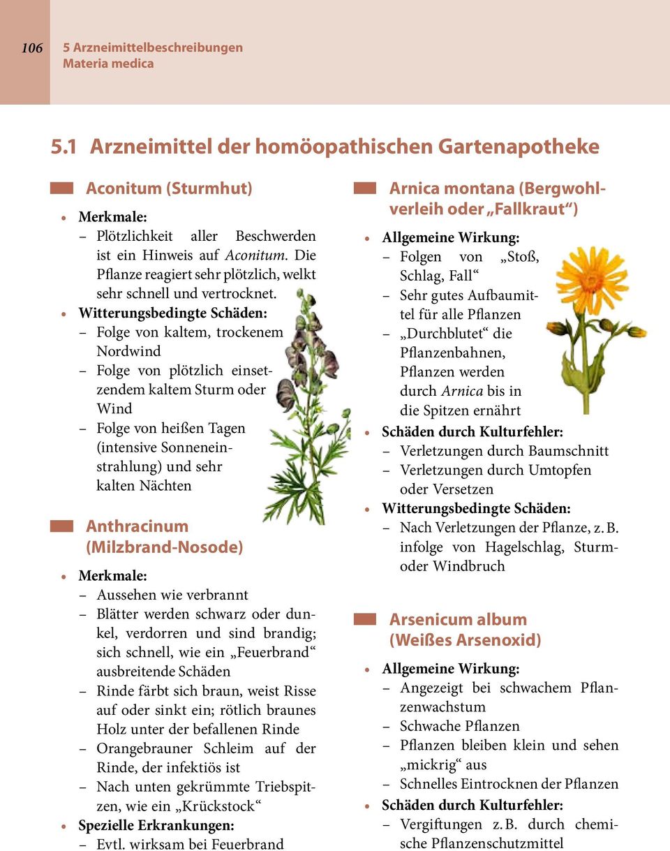 Witterungsbedingte Schäden: Folge von kaltem, trockenem Nordwind Folge von plötzlich einsetzendem kaltem Sturm oder Wind Folge von heißen Tagen (intensive Sonneneinstrahlung) und sehr kalten Nächten