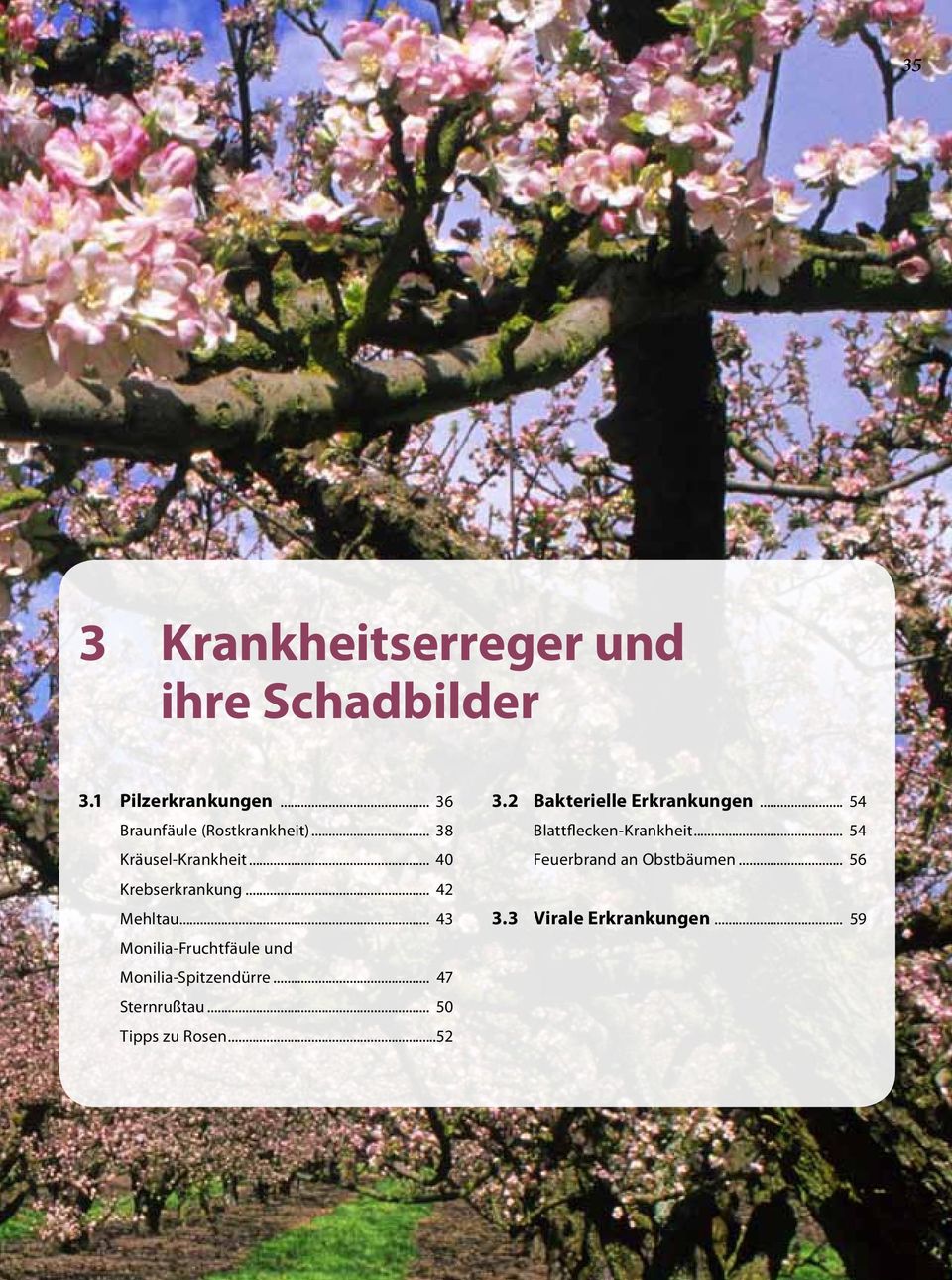 .. 43 Monilia-Fruchtfäule und Monilia-Spitzendürre... 47 Sternrußtau... 50 Tipps zu Rosen...52 3.