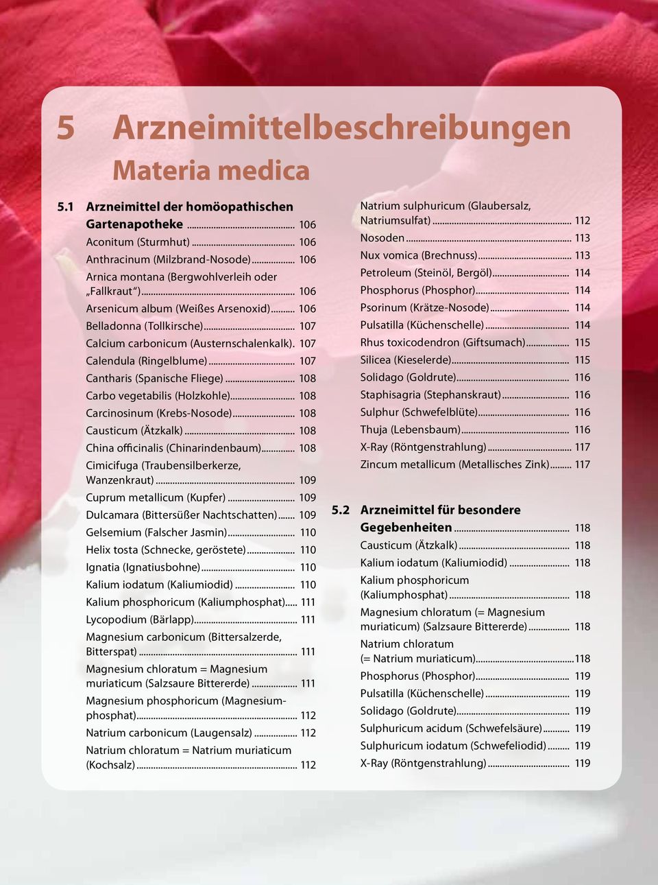 . 107 Calendula (Ringelblume)... 107 Cantharis (Spanische Fliege)... 108 Carbo vegetabilis (Holzkohle)... 108 Carcinosinum (Krebs-Nosode)... 108 Causticum (Ätzkalk).