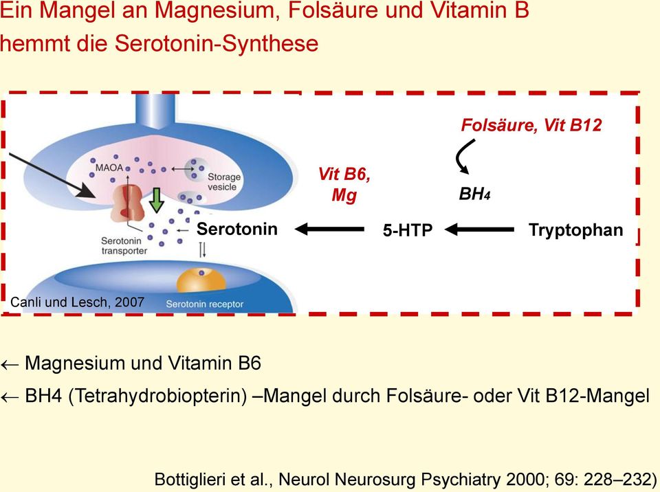 2007 Magnesium und Vitamin B6 BH4 (Tetrahydrobiopterin) Mangel durch Folsäure-