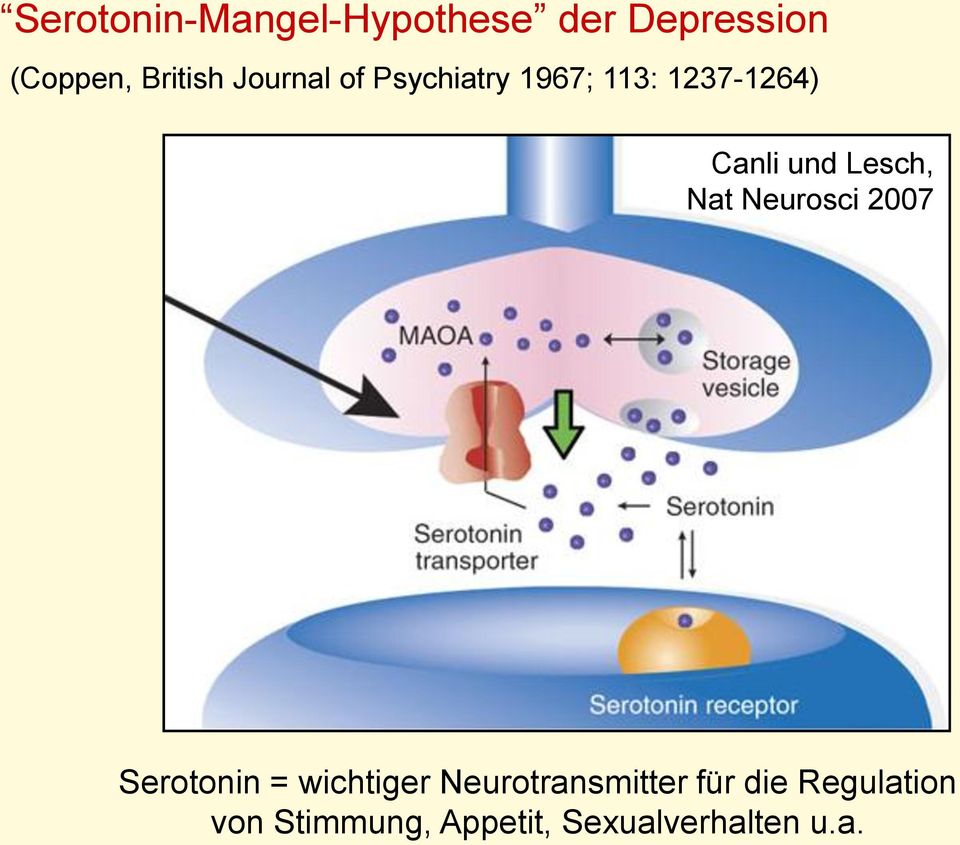 Lesch, Nat Neurosci 2007 Serotonin = wichtiger