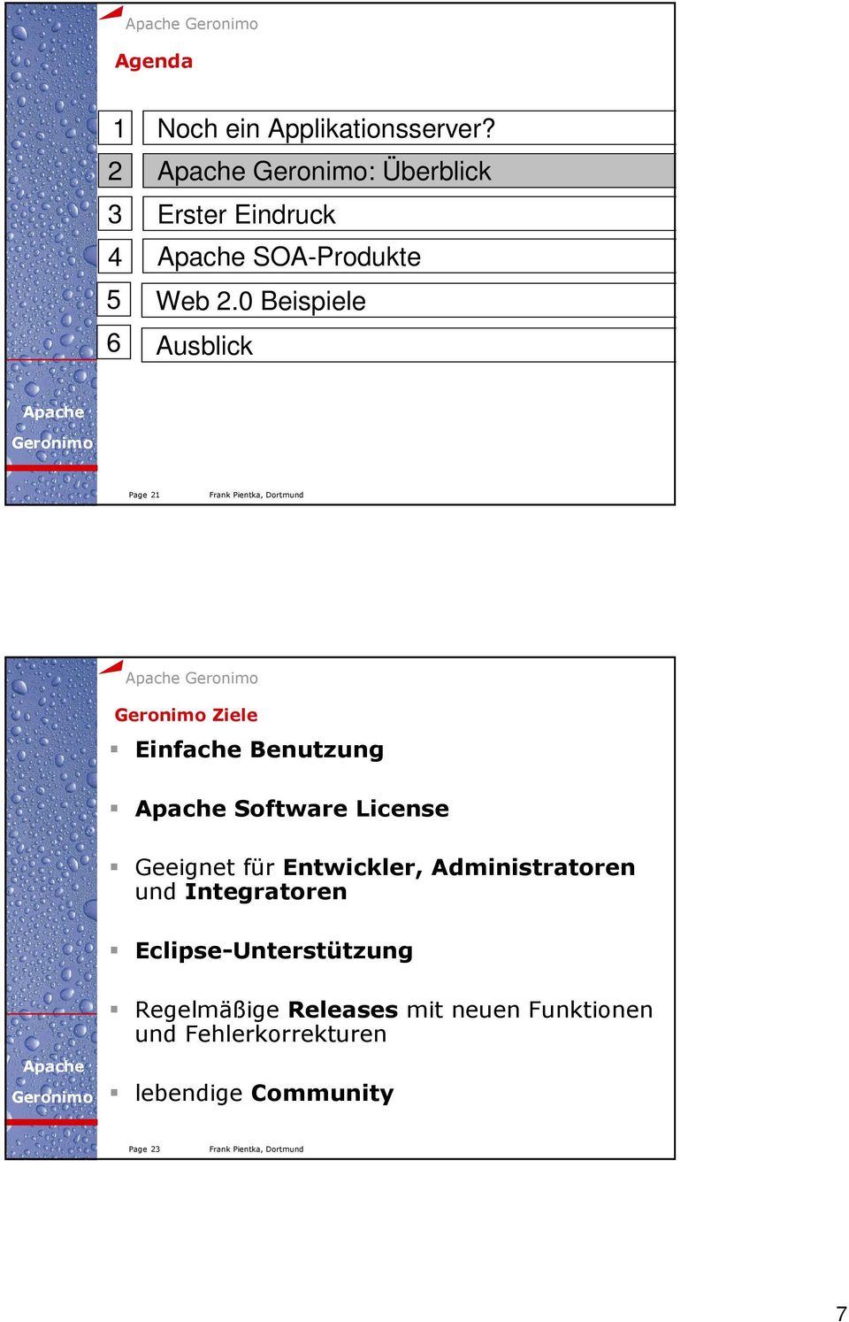 0 Beispiele 6 Ausblick Page 21 Ziele Einfache Benutzung Software License Geeignet