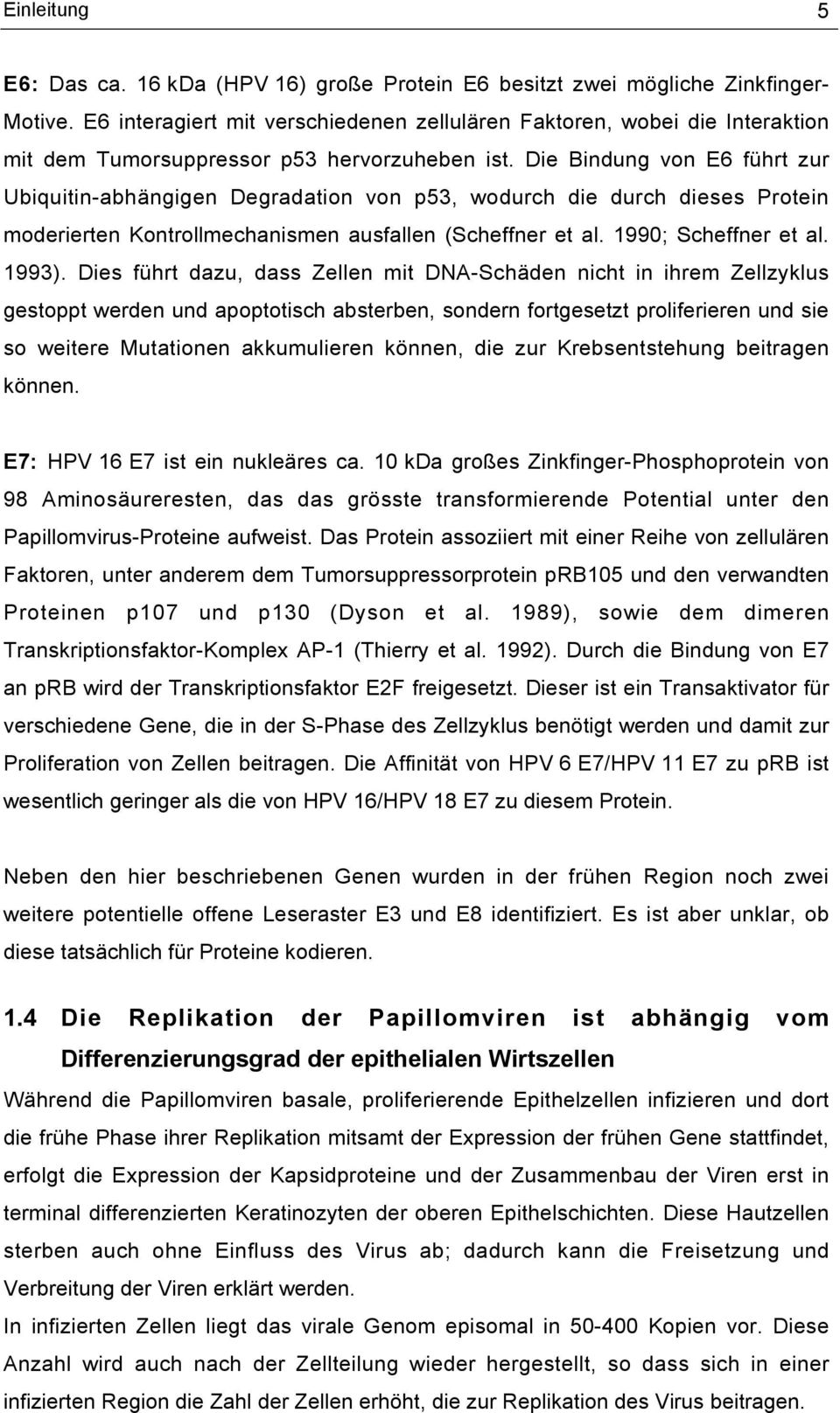 Die Bindung von E6 führt zur Ubiquitin-abhängigen Degradation von p53, wodurch die durch dieses Protein moderierten Kontrollmechanismen ausfallen (Scheffner et al. 1990; Scheffner et al. 1993).