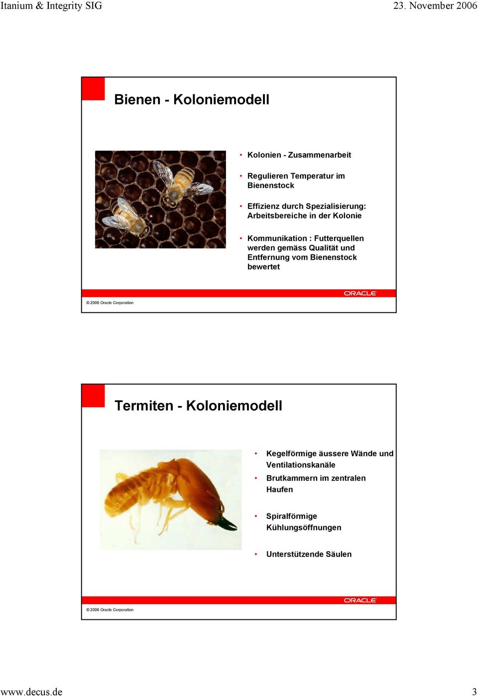 Entfernung vom Bienenstock bewertet Termiten - Koloniemodell Kegelförmige äussere Wände und